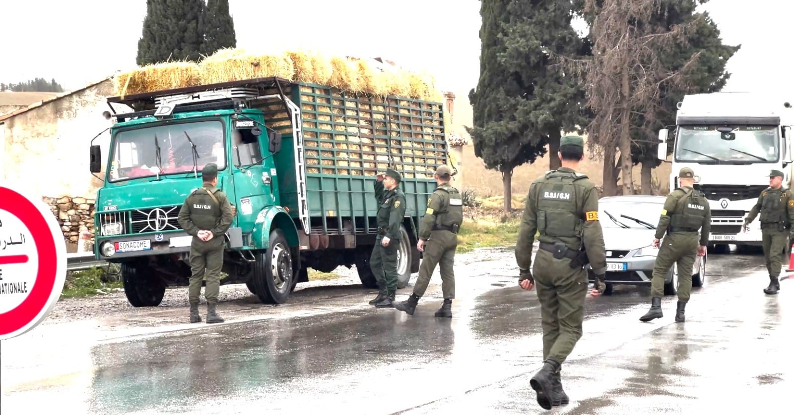 Drug Bust: Massive Hallucinogen Haul in Oum El Bouaghi