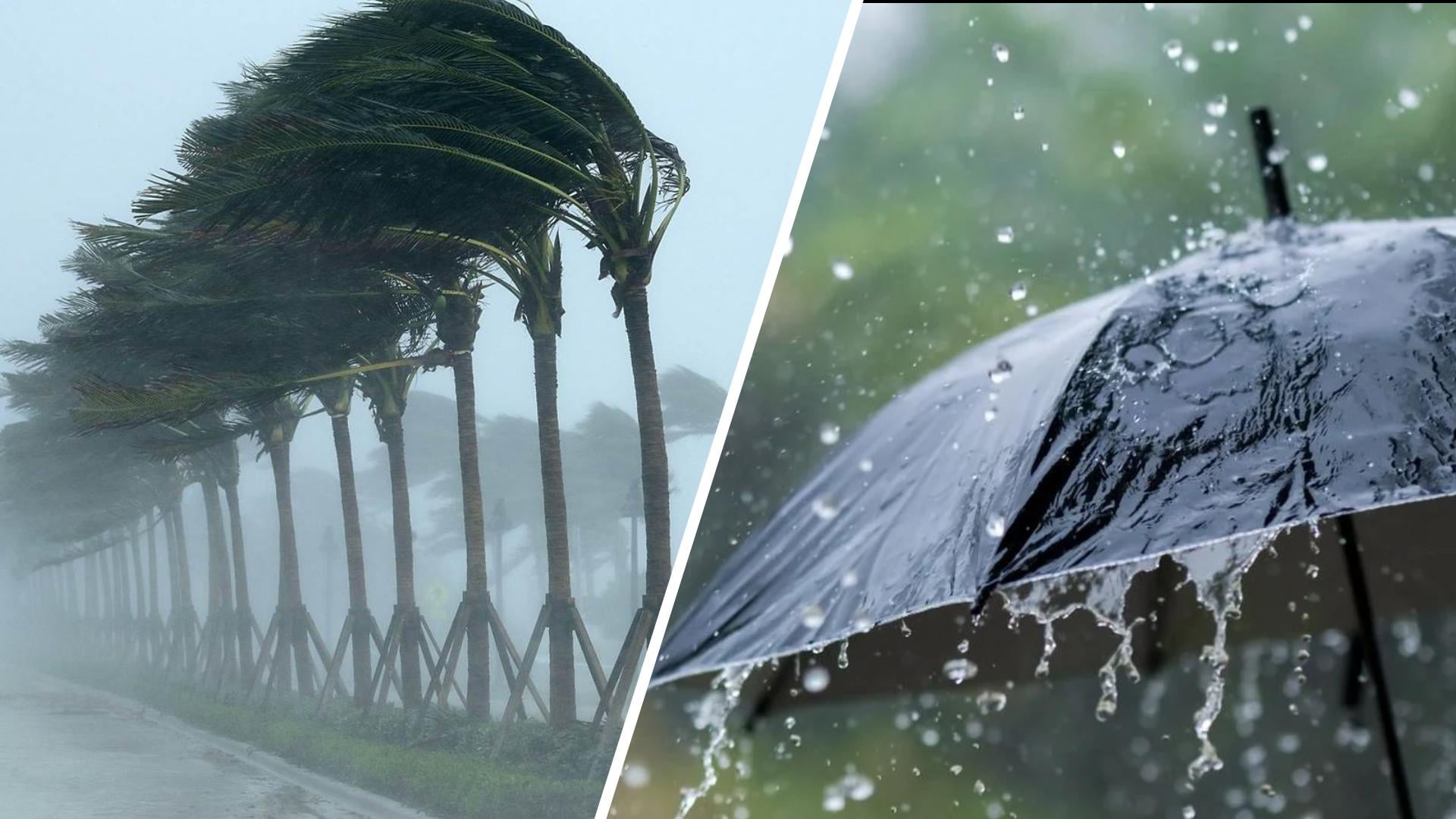 Severe Weather Alert: Heavy Rains and High Winds Across Algeria