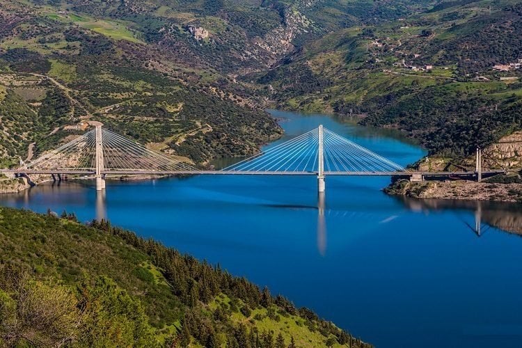 Algeria’s Dams Surge: A Boost for Food Security in 2026?