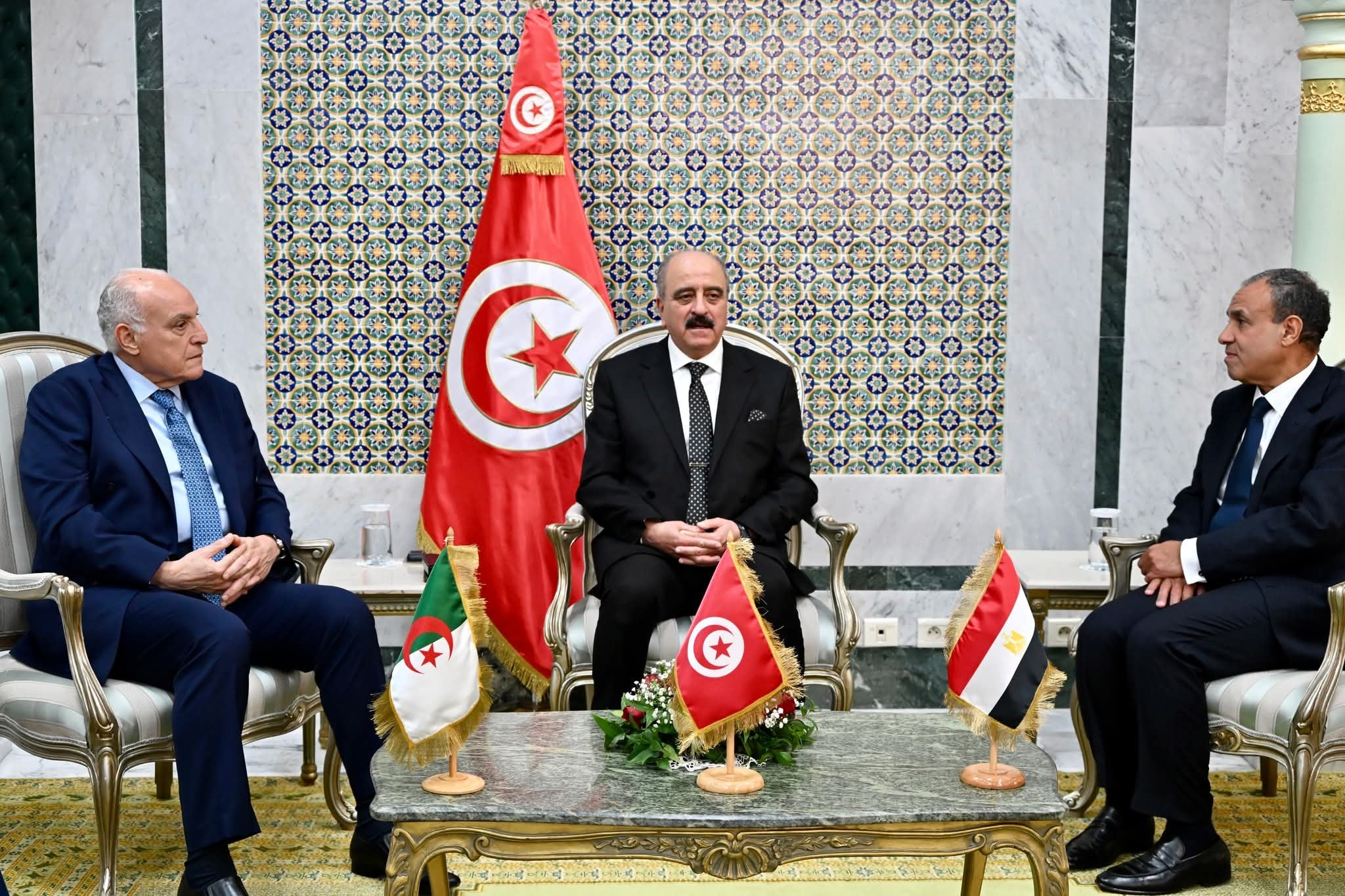 Libya’s Neighbors Reaffirm Support for Libyan-Led Political Process