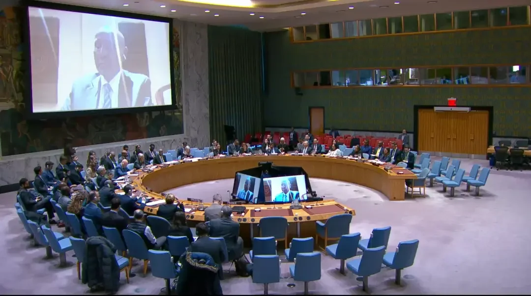 African Union Calls for Permanent Seat on UN Security Council