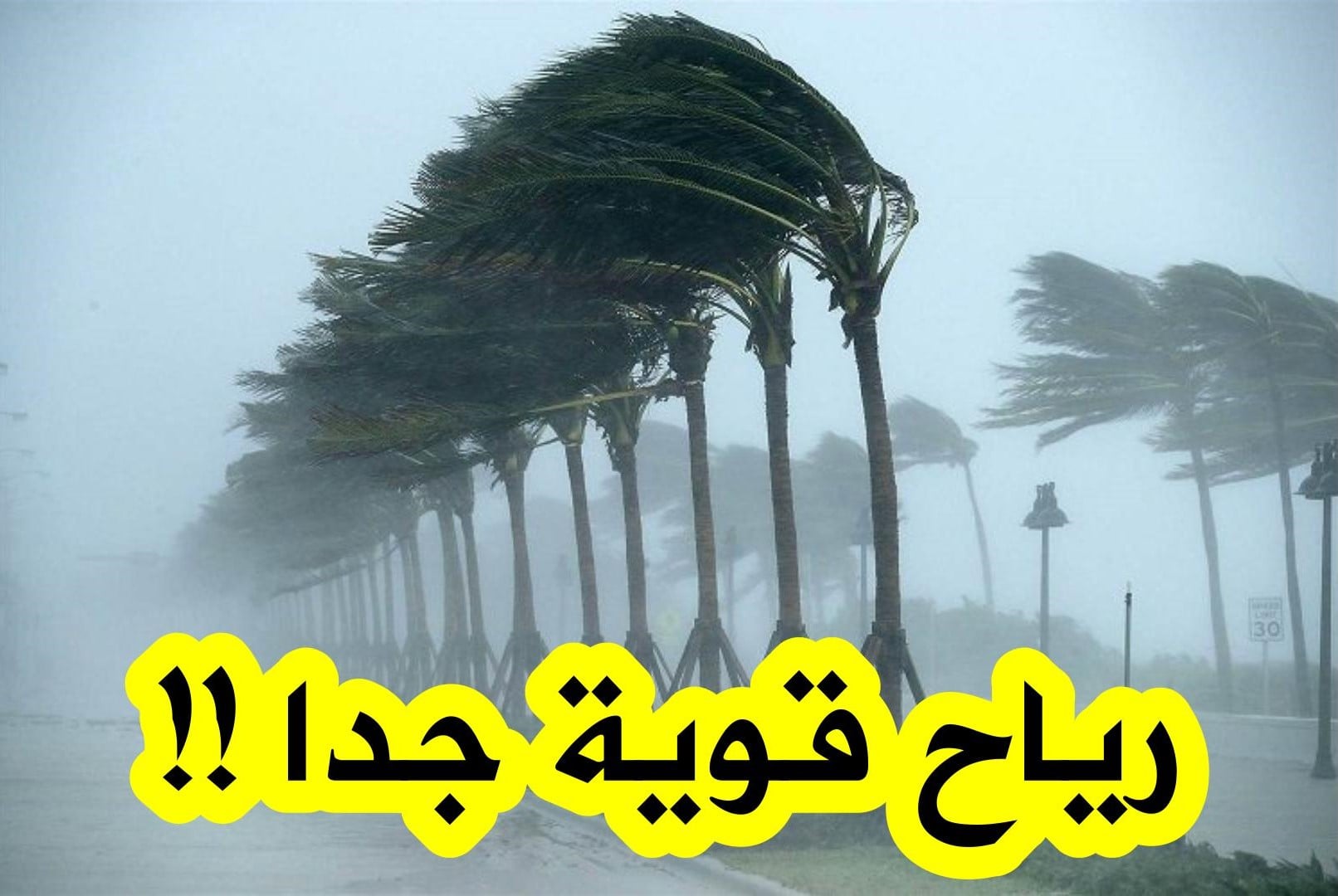 Civil Defense Issues Warning: High Winds Expected Across Algeria