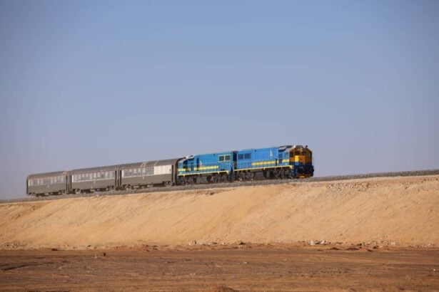 Preparation for launching bids for the construction of the railway line towards Ghardaia and El Meniaa