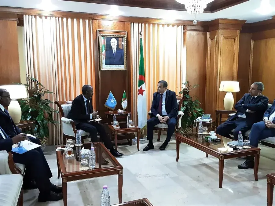 Algeria Puts Its Energy Expertise at the Service of Somalia