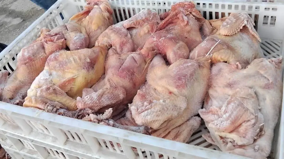 Over 9 Quintals of Spoiled White Meat Seized in Blida