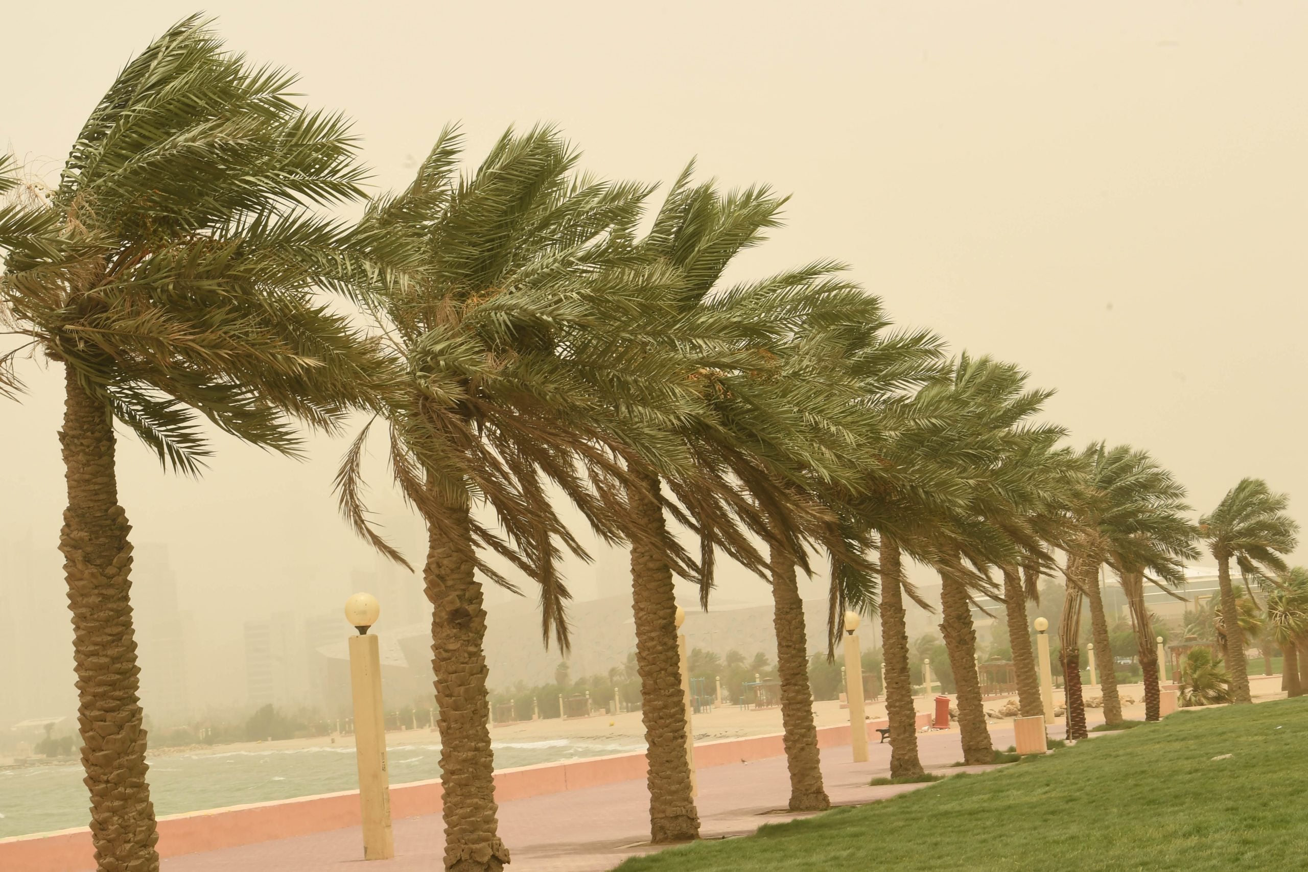Strong winds across several provinces