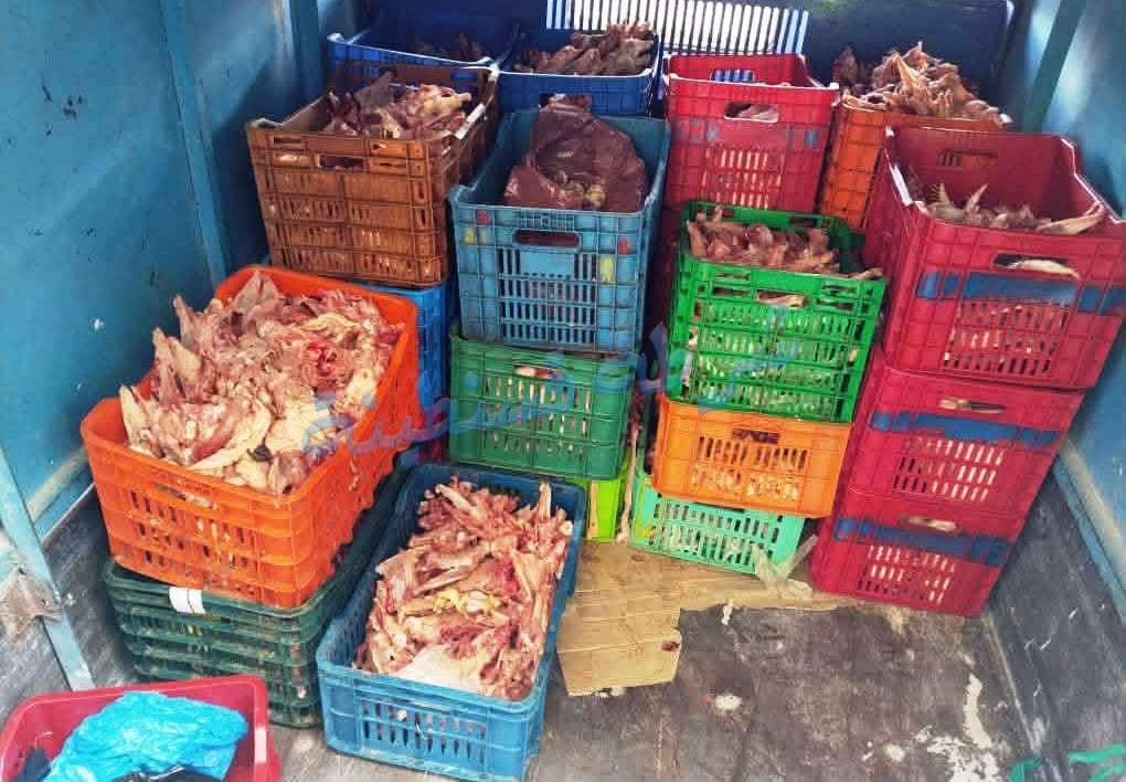 Constantine: Over 12 Quintals of Spoiled Poultry Seized