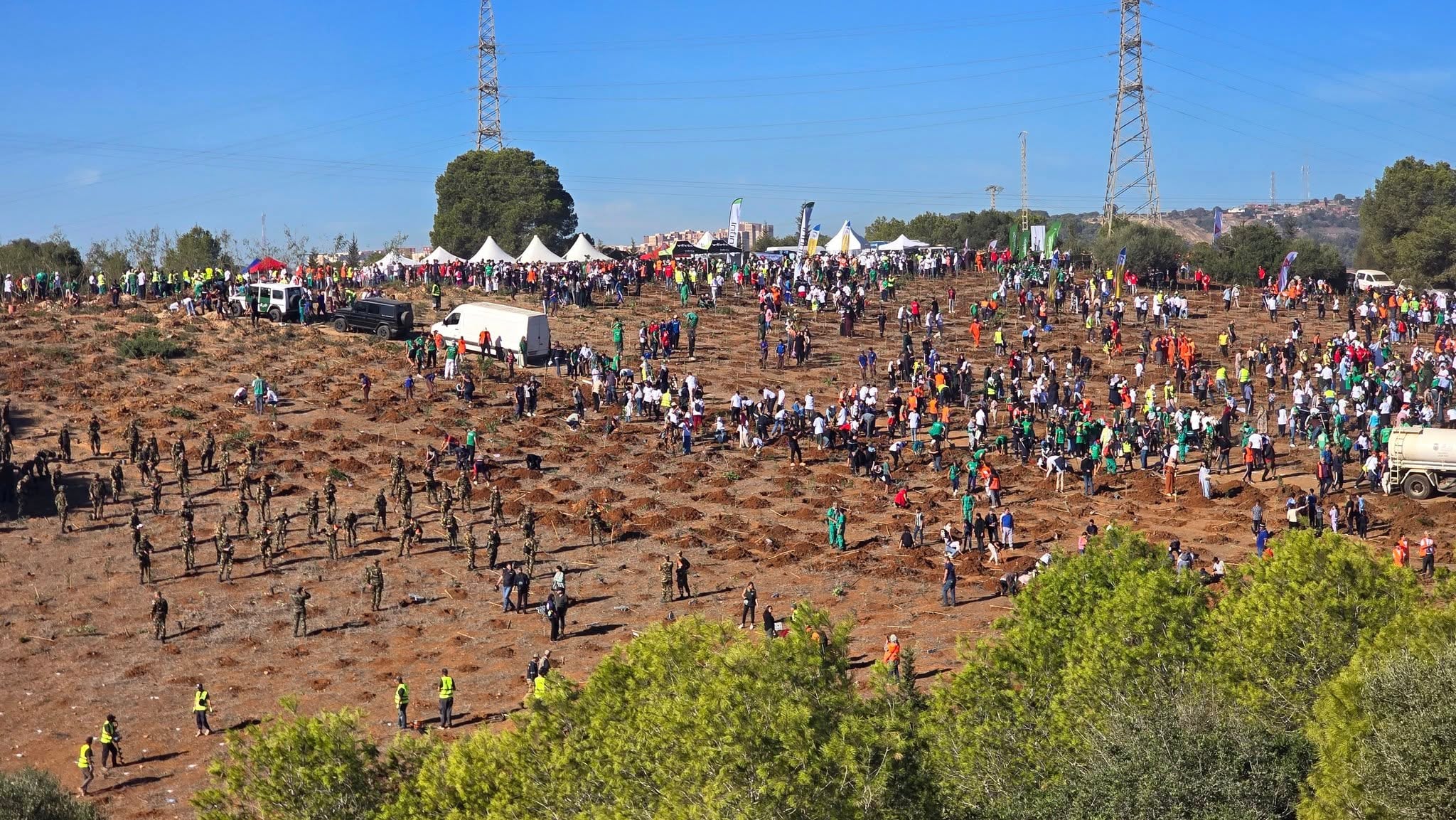 Major campaign to plant 5 million trees