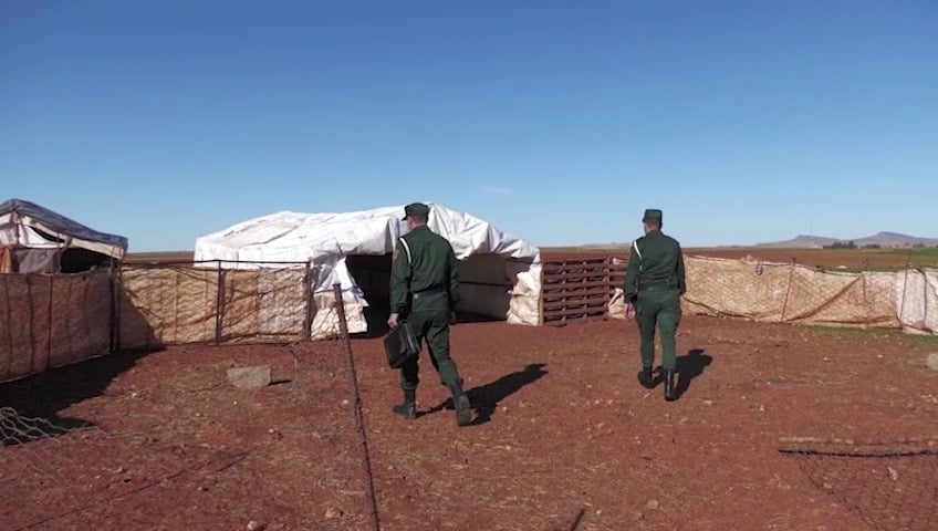 Mascara: Dismantling of a Livestock and Cattle Theft Network