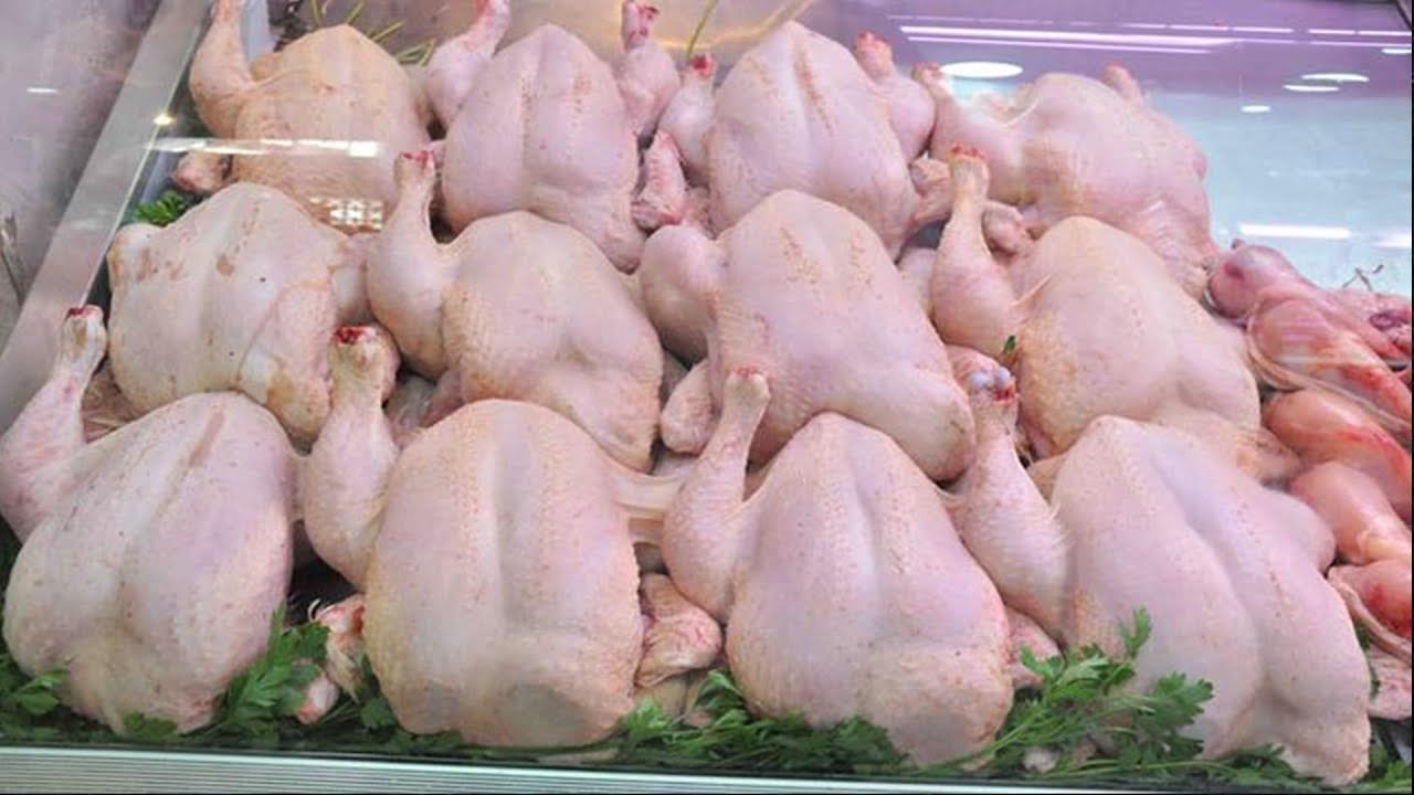 Marketing of Frozen Chicken Begins at 330 Dinars per Kilogram