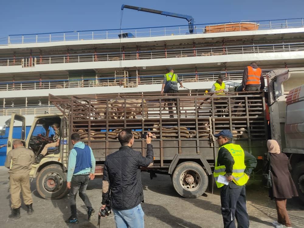 Countries that will supply Algeria with sacrificial animals