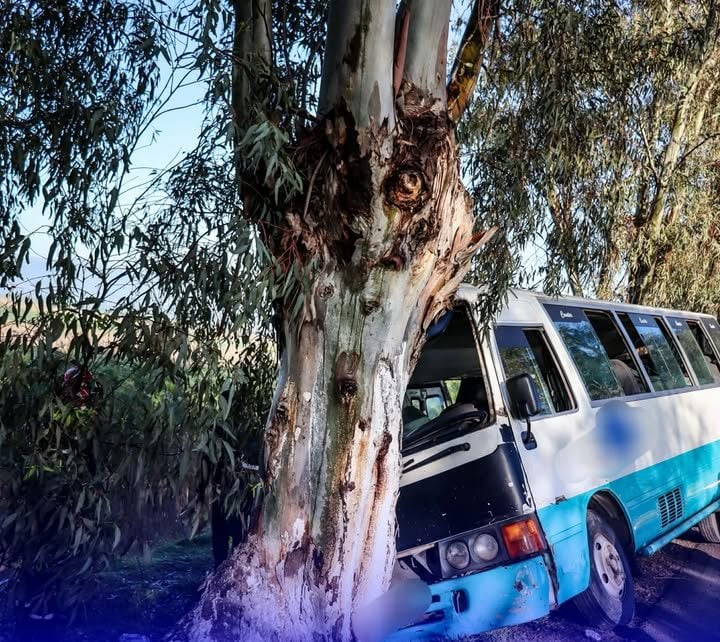 Tipaza: 13 injured after passenger bus collides with tree