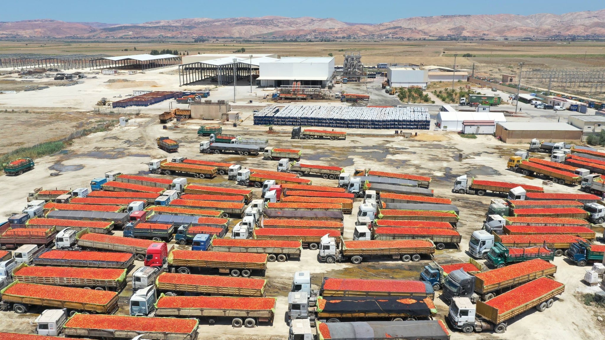 Launch of a Dedicated Food Processing Industry Hub in Ain Defla