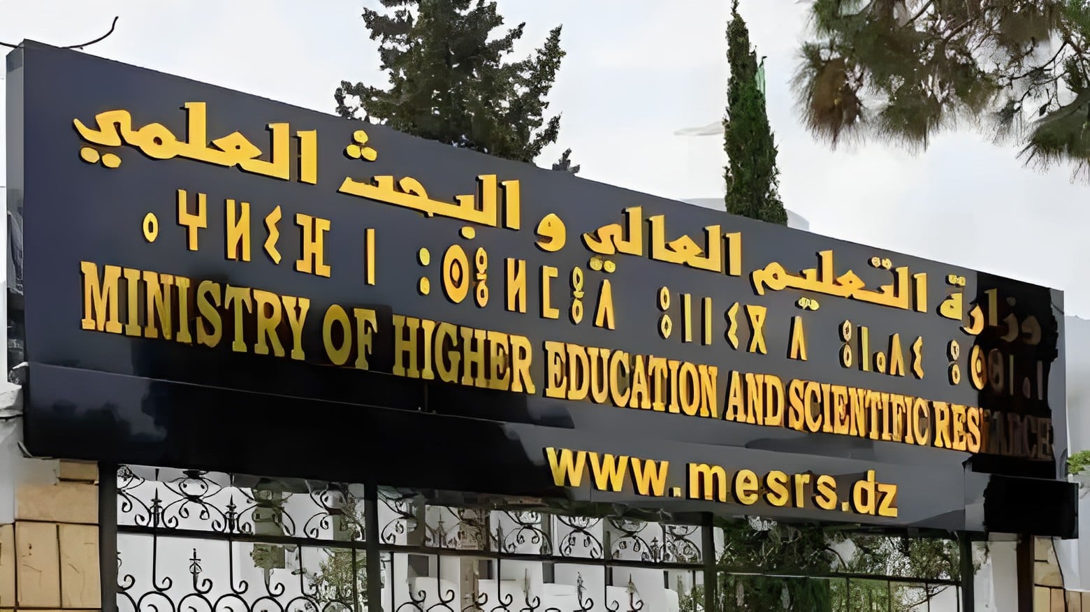 Higher Education: Launch of the National Model for Intellectual Property Policy