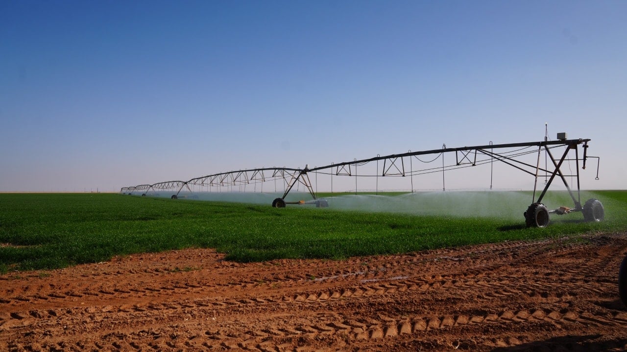 Agriculture: Ambitious Program to Phase Out Seed and Seedling Imports