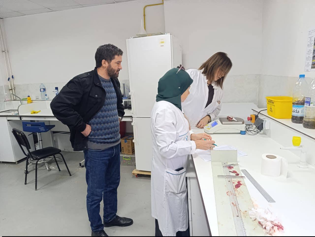 New fish species appears in Algerian waters