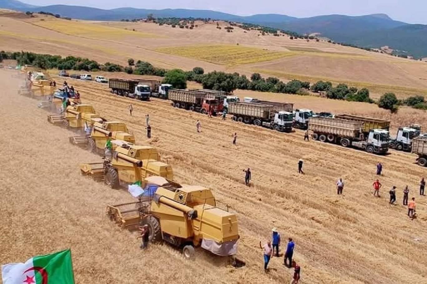 Algeria Has the Most Resilient Food System in Africa