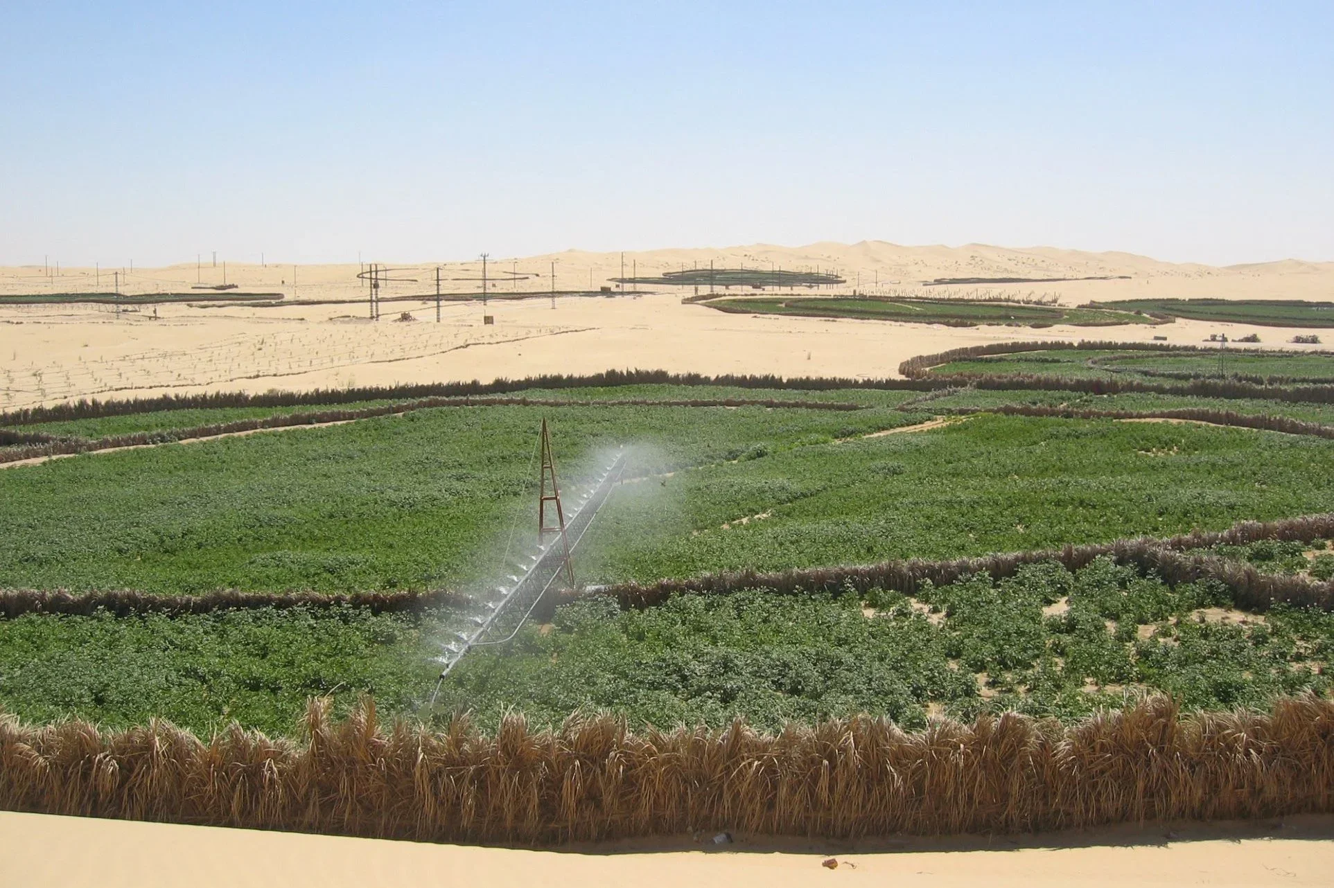 Touggourt: More than 480 agricultural holdings connected to the electricity grid