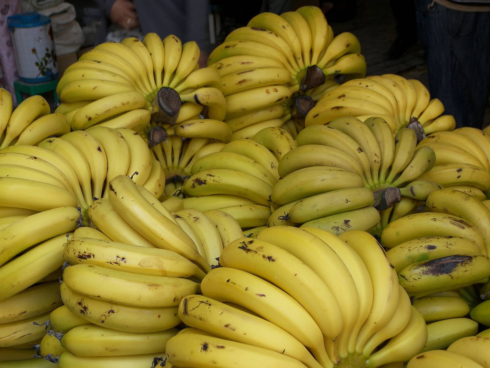 Souk Ahras: 10 Tons of Bananas Seized Intended for Speculation