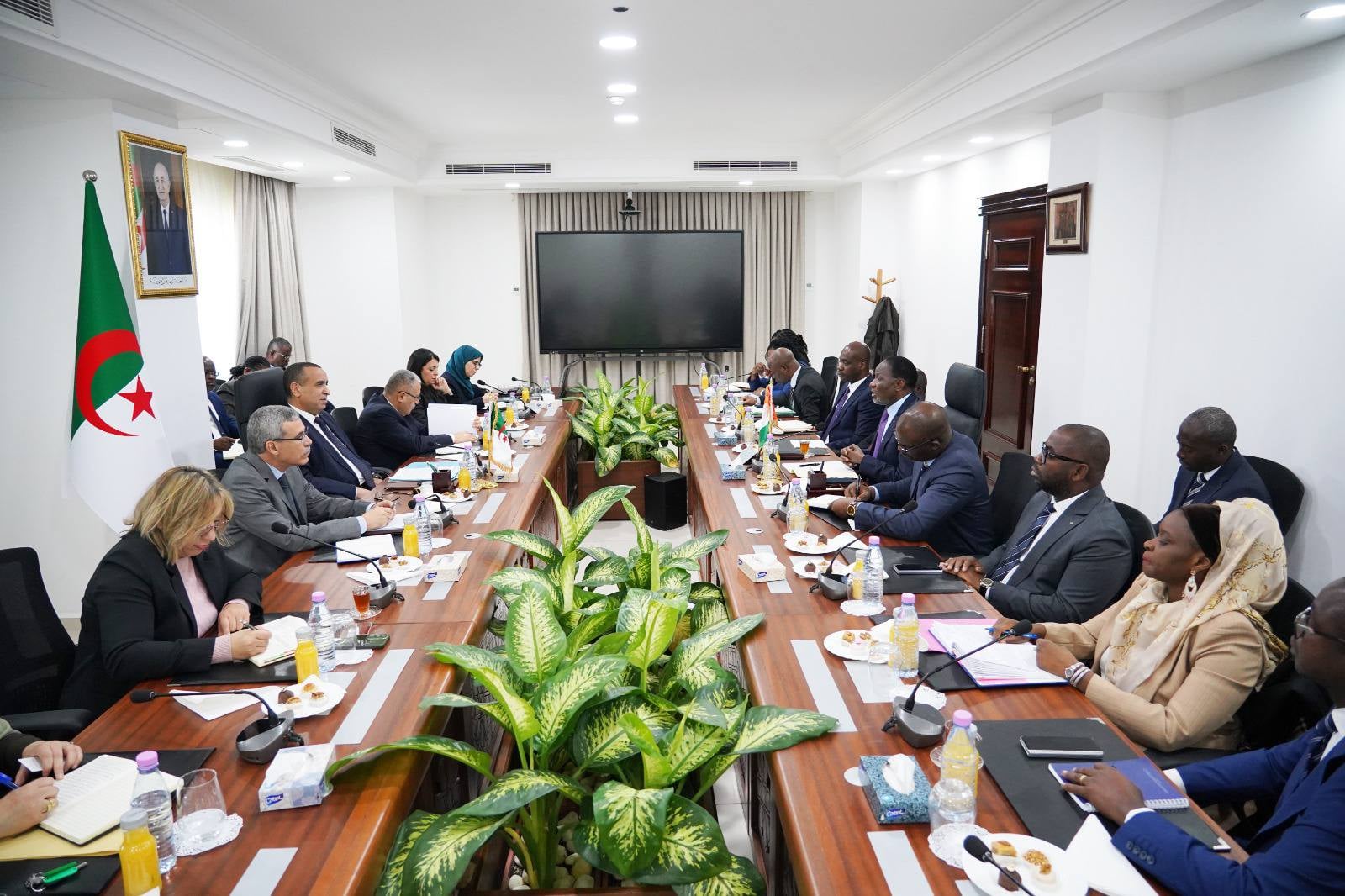 Exploring Ways for Algerian-Ivorian Energy Cooperation