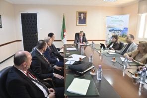 Algeria Unlocks Private Investment Zones: A New Industrial Era Begins