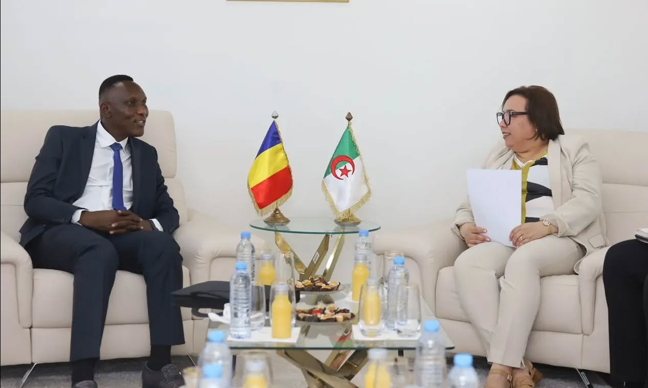 Algeria Leads Africa in Vocational Training Digitalization as Chad Seeks Partnership