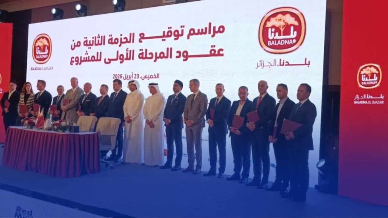 Algeria’s ‘Baldna’ Mega Dairy Project Enters Phase Two: $635M Deal Signed, 30,000 US Holstein Cows to Arrive by Air