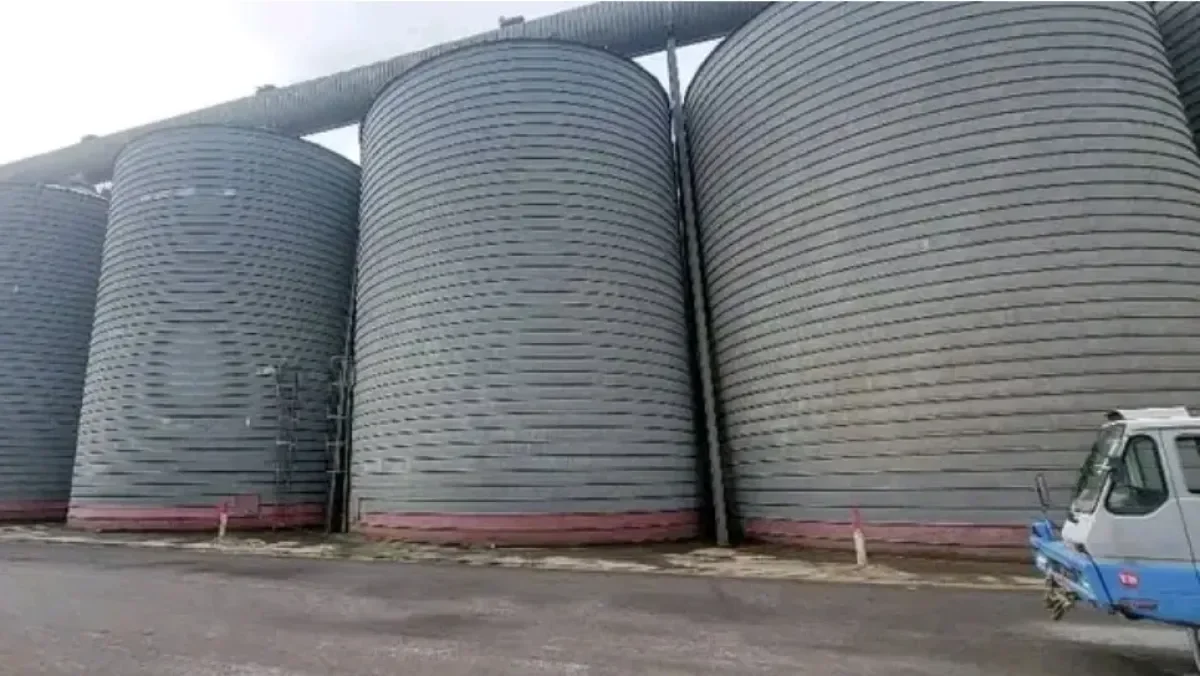 Tizi Ouzou Ramps Up Grain Storage Ahead of 2026 Harvest Season
