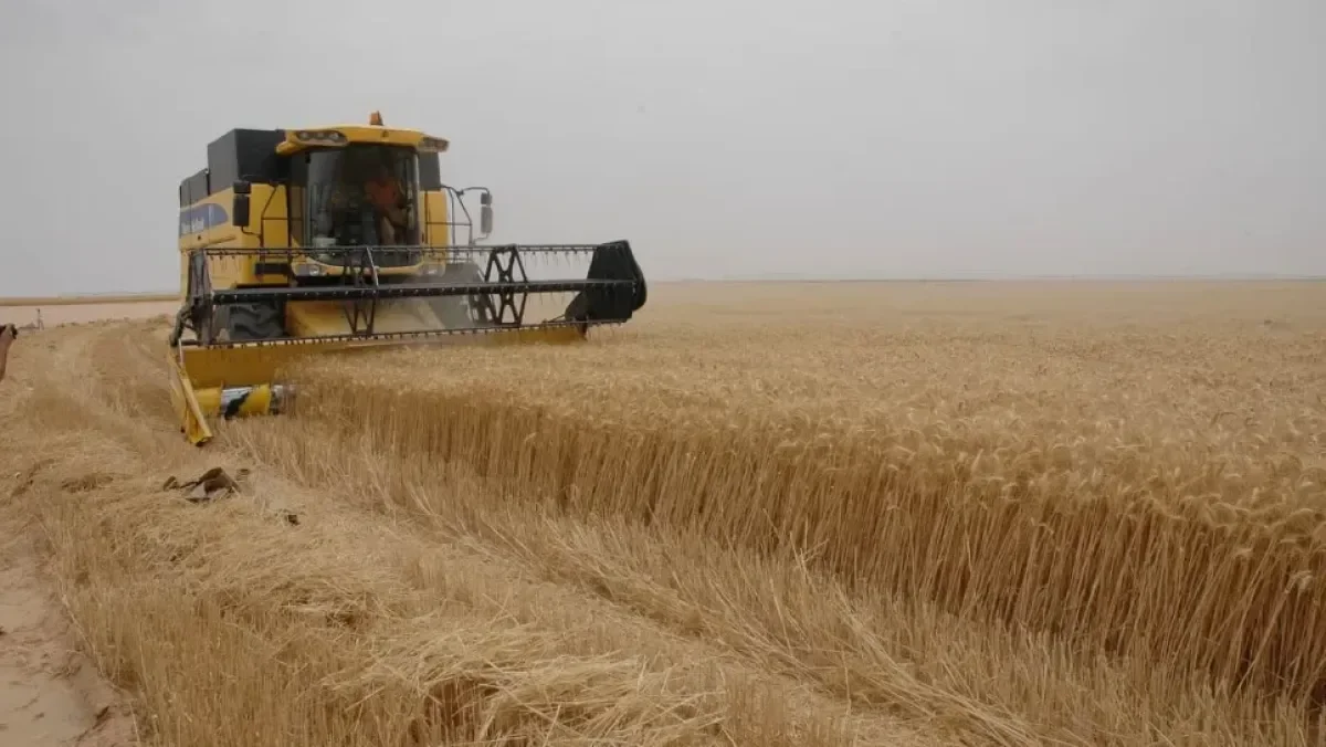 Algeria Mobilizes 332 Harvesters and 765 Trucks to Boost 2025-2026 Harvest Season