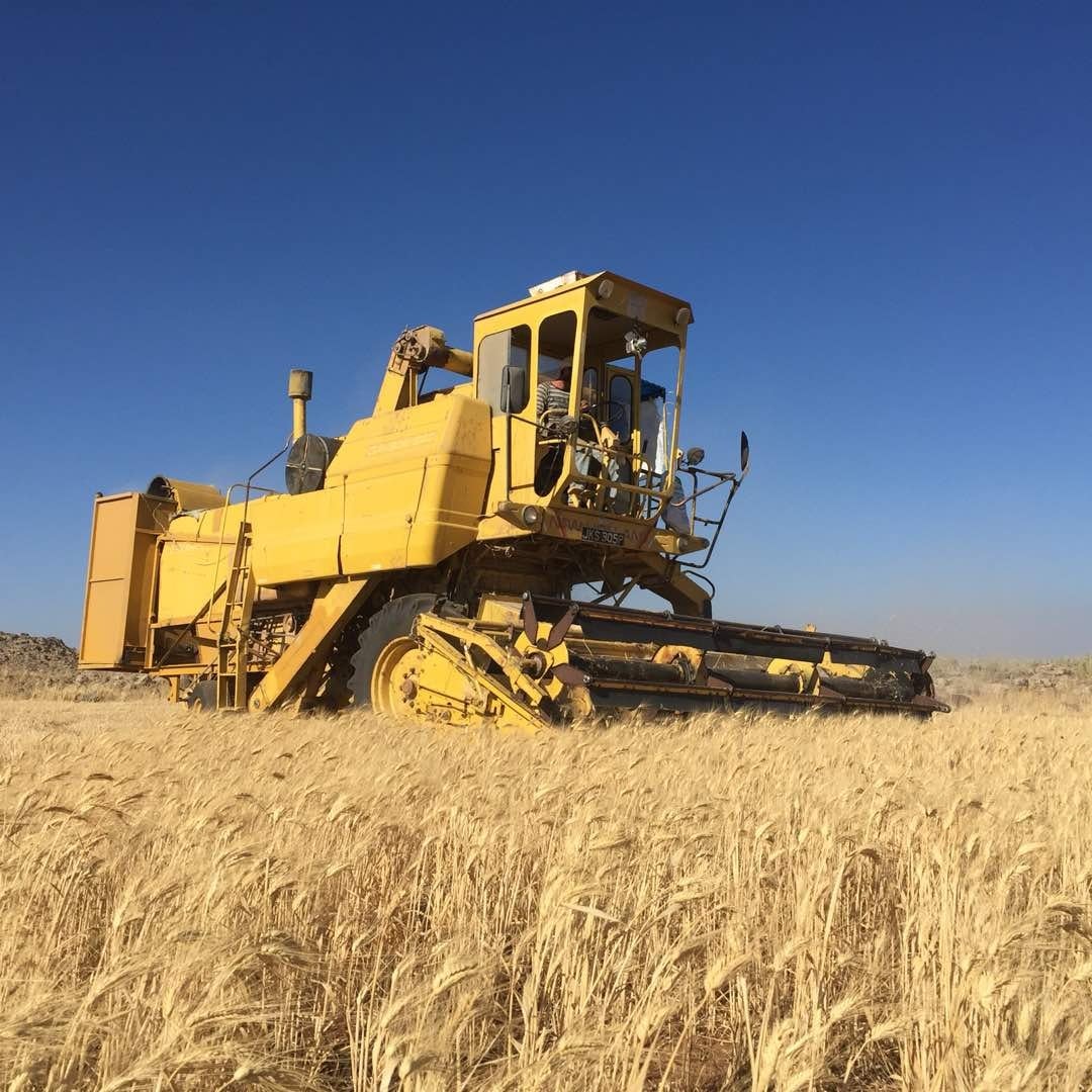 “Urgent” training course for harvester drivers nationwide