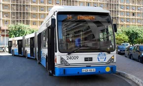 Algeria Boosts Public Transport: Algiers Receives 102 New Buses in Major Fleet Renewal Drive