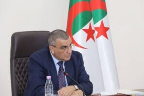 Algeria Accelerates Eastern Mining Railway Project: Minister Orders Night Shifts and Tighter Deadlines