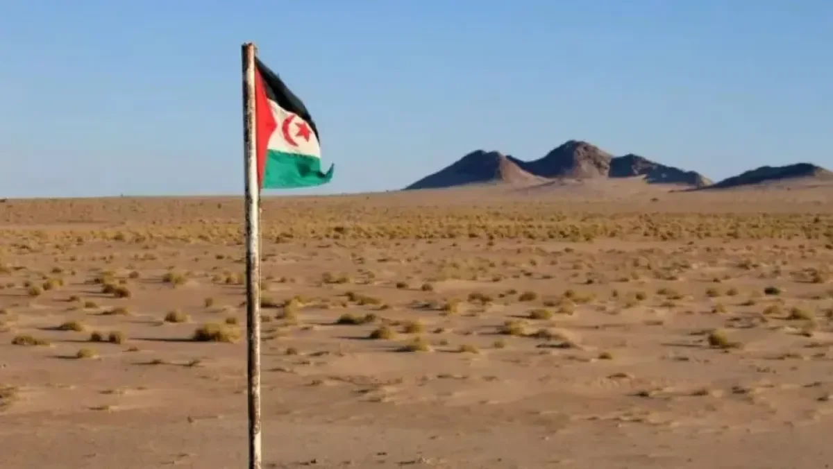 Expert Analysis: US Playing Judge and Party in Western Sahara Sovereignty Transfer Plot