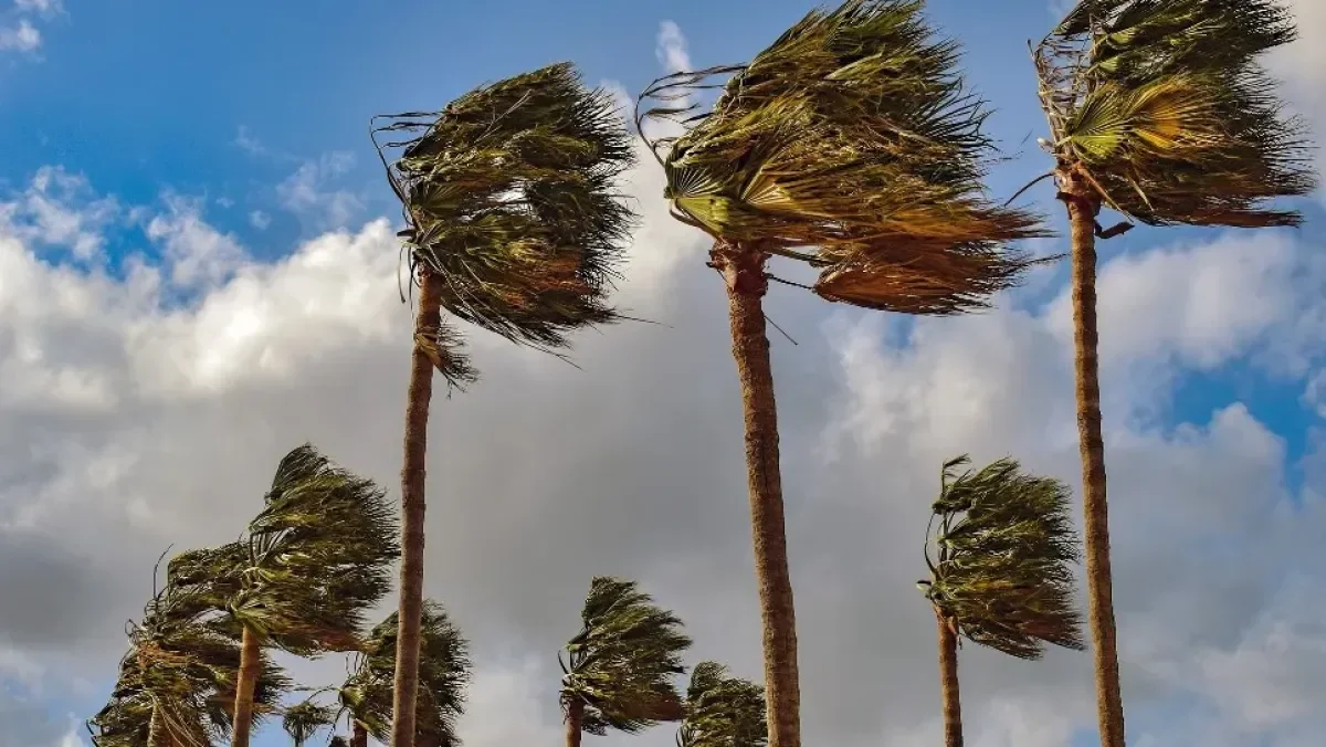 Algeria Issues Urgent Wind and Sandstorm Alert Across Multiple Wilayas