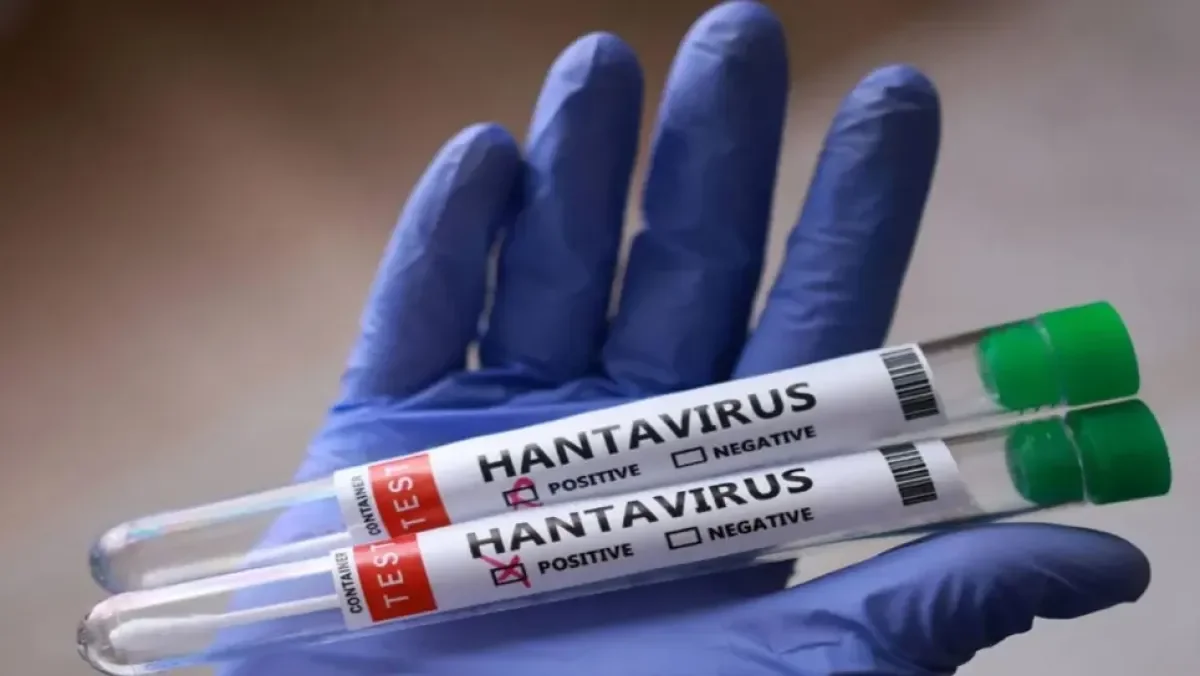 Algeria on High Alert After Hanta Virus Cases Detected on Foreign Cruise Ship