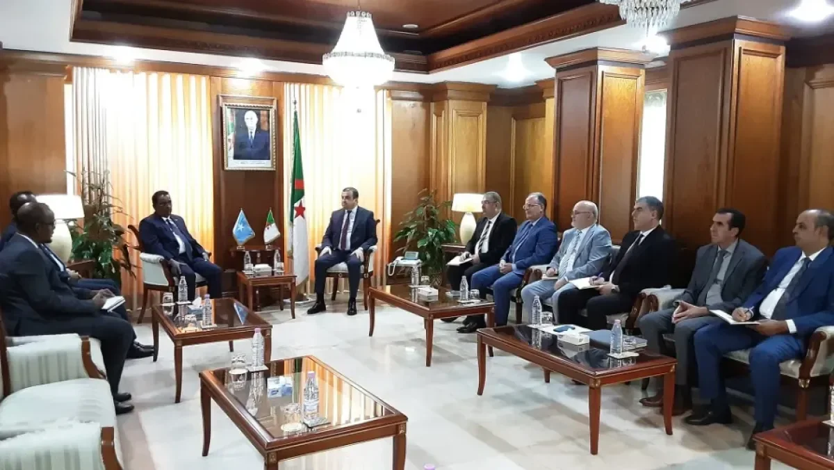 Algeria and Somalia Deepen Energy Partnership: Hydrocarbons Cooperation Takes Center Stage