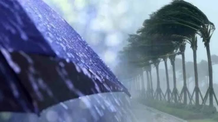 Algeria Issues Level-2 Storm Alert: Heavy Thunderstorms to Lash Multiple Wilayas