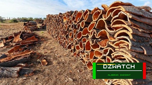 Tizi Ouzou Projects Over 5,800 Quintals of Cork Harvest in 2026