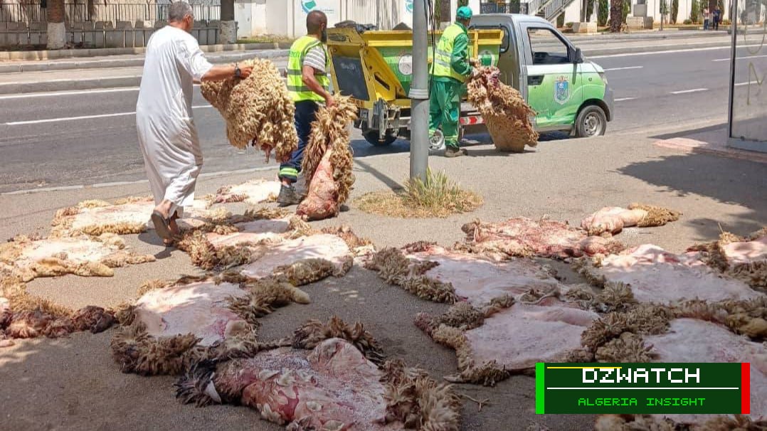 Algeria’s National Eid Al-Adha Skin Collection Campaign Hailed as Success