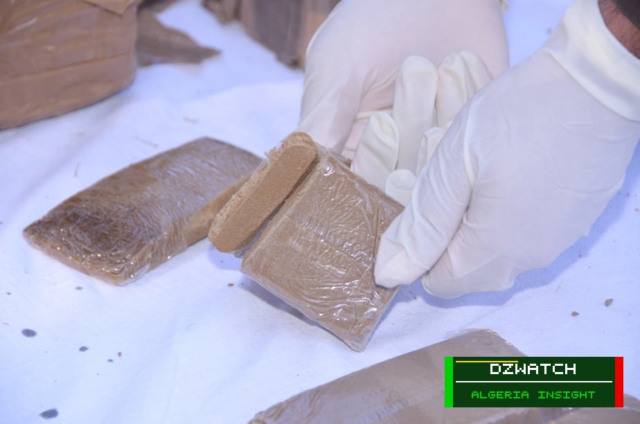 Skikda Gendarmerie Dismantles Major Drug Trafficking Network, Seizes 13.7 kg of Cannabis