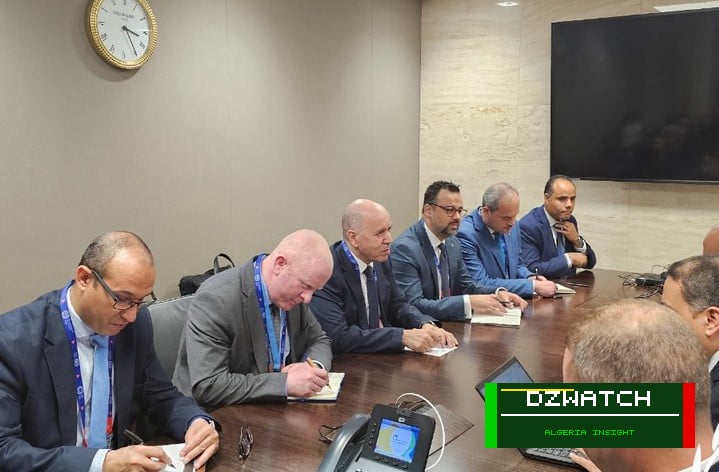 Algeria and Egypt Discuss Enhancing Labor and Social Security Cooperation