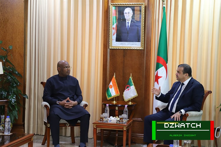 Algeria and Niger Accelerate Crucial Gas Pipeline Project to Bolster European Energy Security