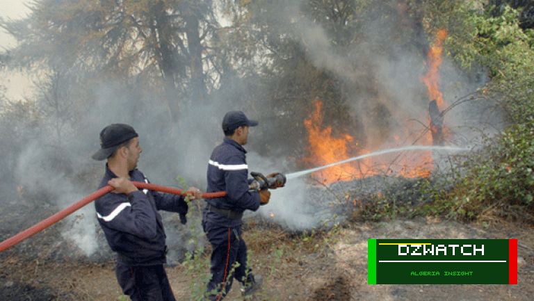 Algeria’s Civil Protection Services Successfully Combat Multiple Fires Nationwide