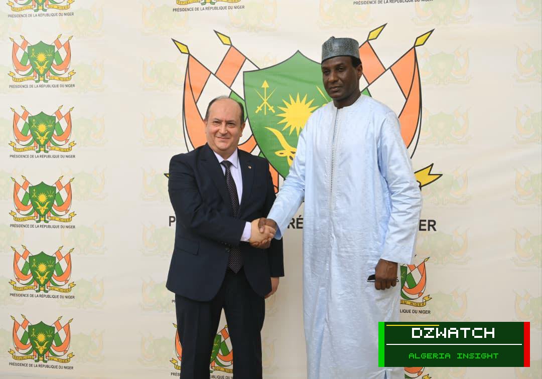 Algeria and Niger Strengthen Strategic Ties with New 40 MW Power Plant in Niamey