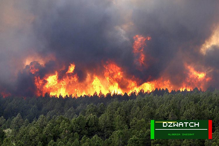 Algeria Battles 45 Wildfires Amidst Heatwave Across 29 Provinces
