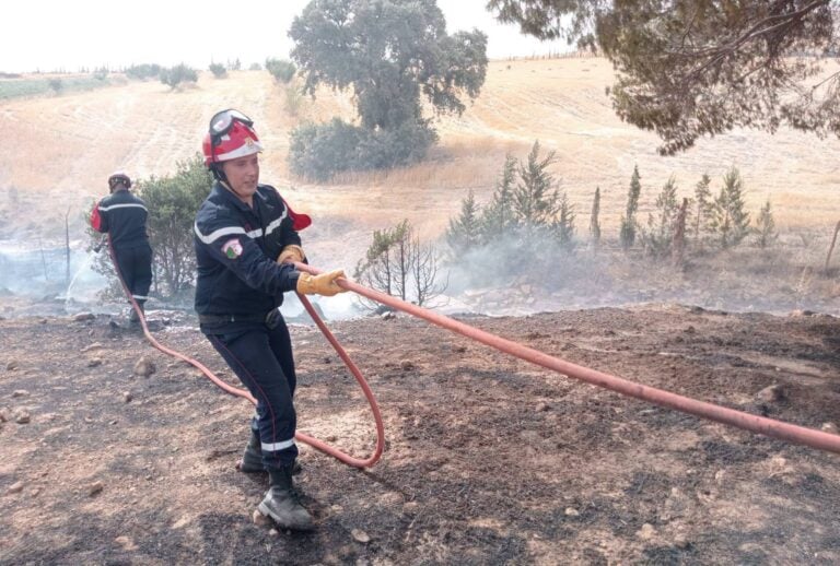 Algeria Extinguishes 913 Fires as Nationwide Emergency Response Continues