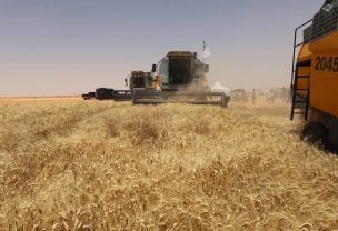Saioud Chairs Coordination Meeting with Governors to Follow Up on Harvest and Threshing Campaign