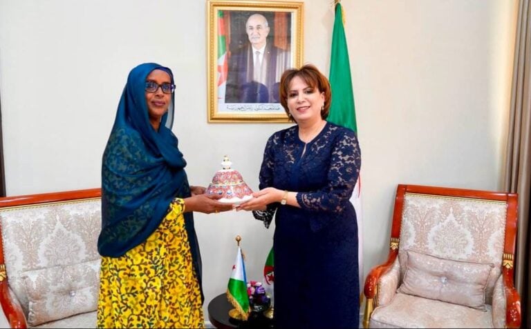 Algeria and Djibouti Move Toward New Cultural Cooperation Agreement
