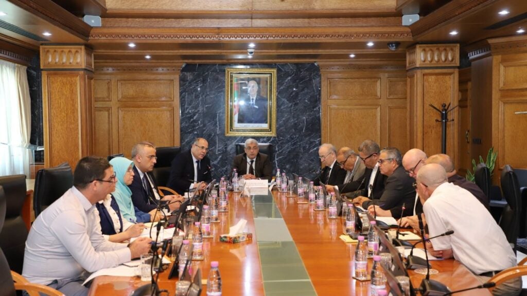 Algeria Reviews Progress of Strategic Mining Projects to Accelerate Industrial Development