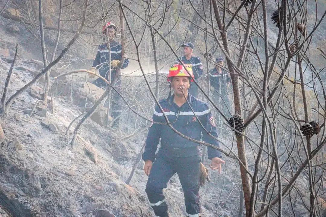 Algeria’s Civil Protection Extinguishes 107 of 138 Fires in 24 Hours